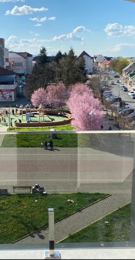 Готель Тячів Exteriér fotografie
