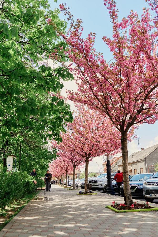 Готель Тячів Exteriér fotografie